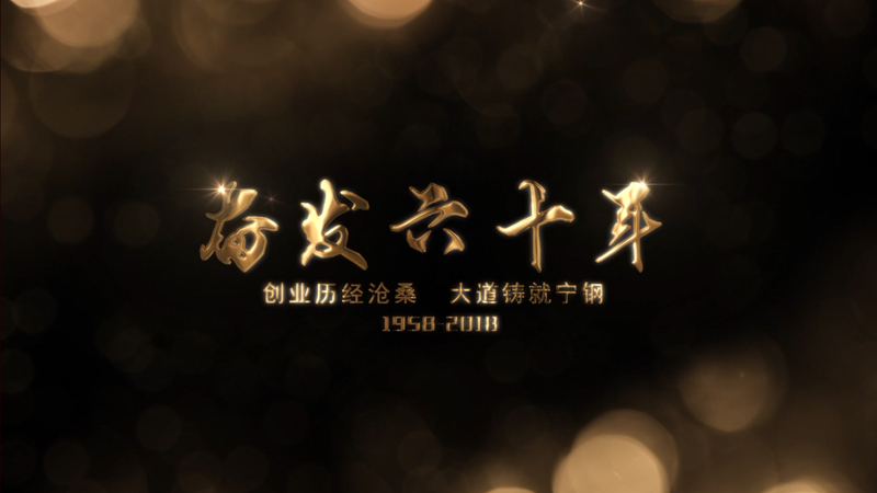 寧鋼第三屆客戶(hù)節(jié)花絮